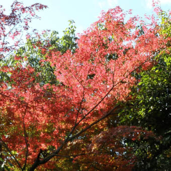 黙想の家