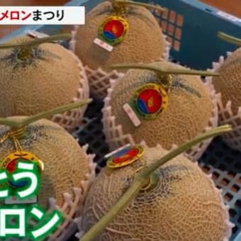 これから収穫ピーク「あいとうメロンまつり」（東近江市）