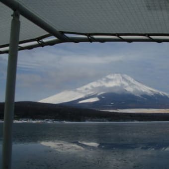 山中湖ワカサギ釣り