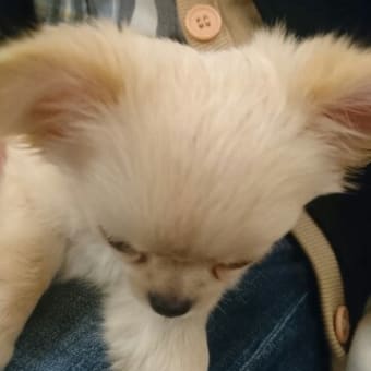 冬休みのアルバイトは？