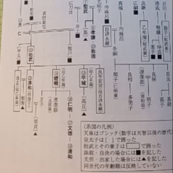 歴史の中の大地動乱　奈良平安の地震と天皇　保立道久