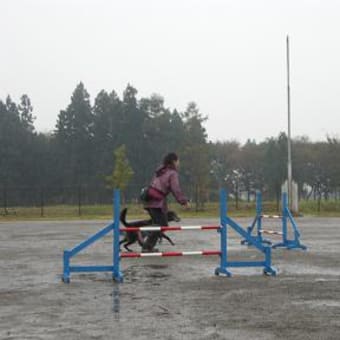 交流活動　２