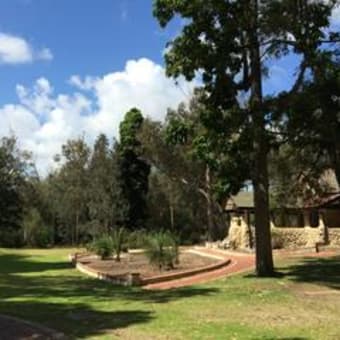 西オーストラリア旅行記　その4 ～北へ　　ヤンチャップ国立公園とカンガルーとの並走 ～