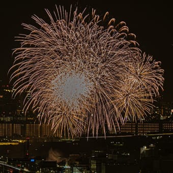 芦屋の花火「ライブコンポジット撮影」