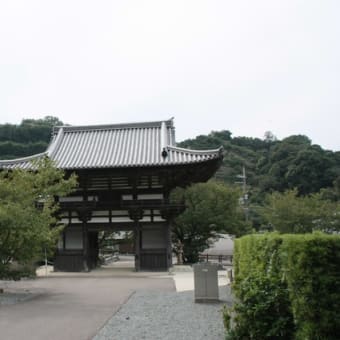 紀州徳川ゆかりの地　和歌山（１）