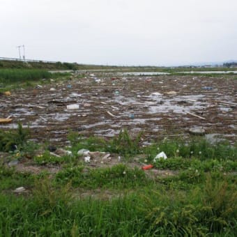 大震災から間もなく4カ月・・・ 亘理町の現場は、