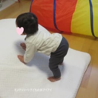 ニド（0歳クラス）（2025年2月）