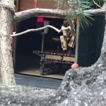 日光の思い出(ほぼ写真のみ)