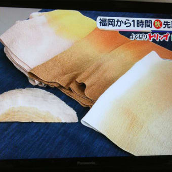 よくばりミルキィ