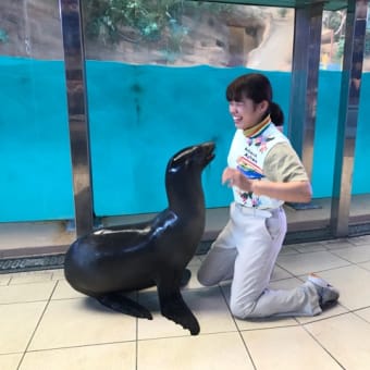 パンダロス