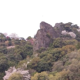 孫＆バアバの「肥薩おれんじ鉄道一日フリー切符」鉄旅