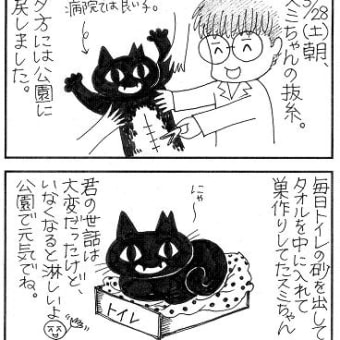 地域猫、しろはは後編（9）