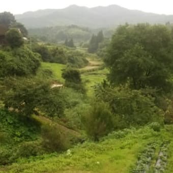 宇城市内の無名棚田 in 熊本
