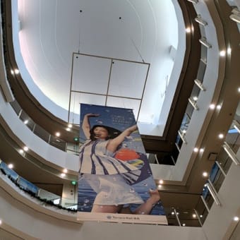 #9411 かくかくしかじか📽️
