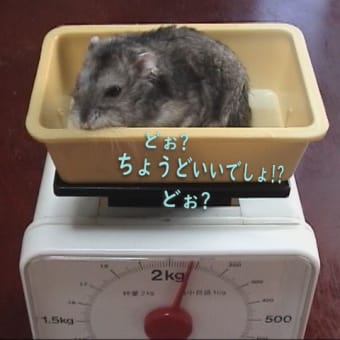「2.3キロ」「3、4年」って？