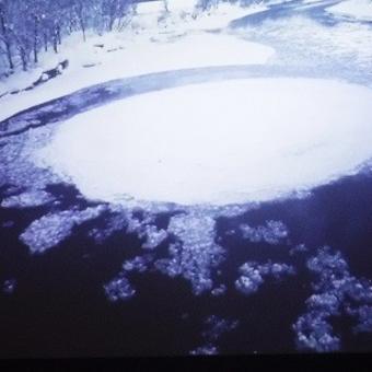 ドキュメンタリーに浸りきった一日…