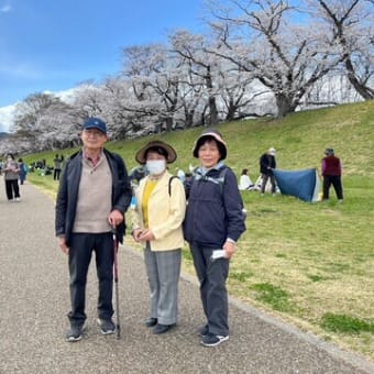 第１回ハイキング2025（石清水八幡宮、背割り堤お花見ハイキング）