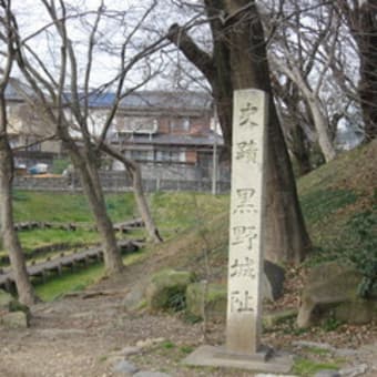 黒野城 城撮り戦果 風雲 城撮り物語 黒野城 城撮り戦果 風雲 城撮り物語