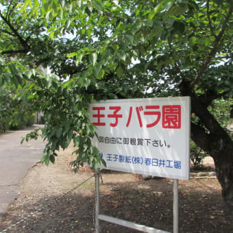 王子バラ園