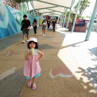 4歳娘とシンガポール旅行④　南十字とリゾート