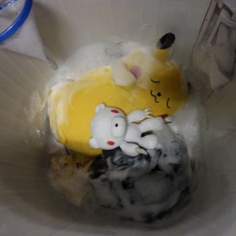 ぬいぐるみを洗ってみました、、、
