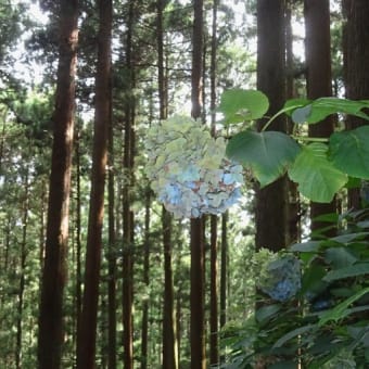 太白山の生出神社