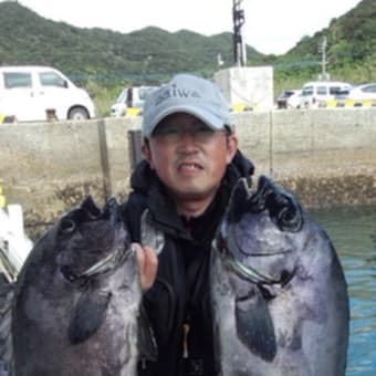 石鯛、ルアー情報 11月8日