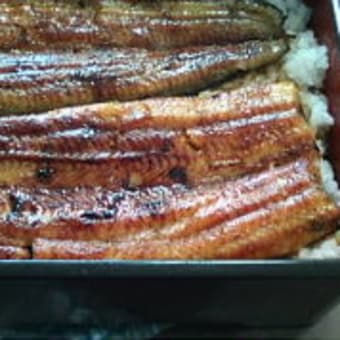 うなぎ