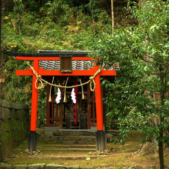 石馬寺（滋賀県）　其の３（最終回）　（2011年12月06日　火　晴　EOS5D EF24-105mmF4LIS）