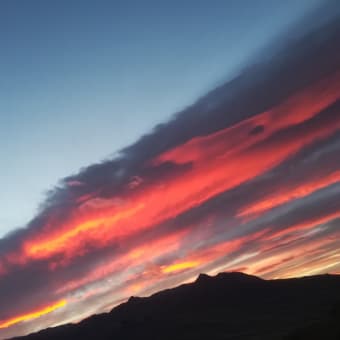Patagonia  1