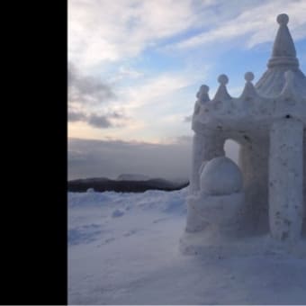 市民雪像ゆきまつりinだんパラ2日目(1)