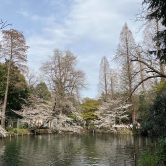 井の頭公園