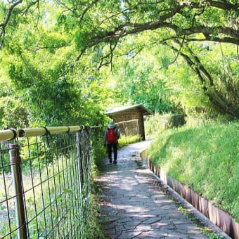 入梅間近の花々と奈良「山野辺の道」歩き①