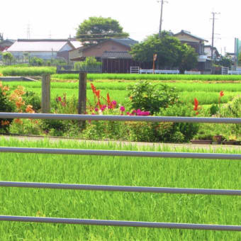 慢性疲労症候群かな？4.21金曜曇り