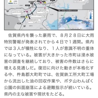 自然災害に何でも政府が保証するのは変なことでは？
