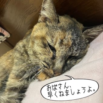 早く寝ましょう。