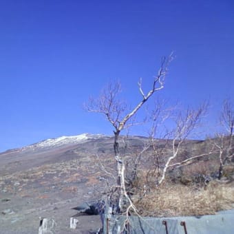 富士山は藤原紀香さん