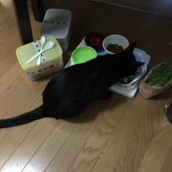 長いお出かけ