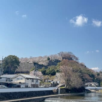 何分咲きかな