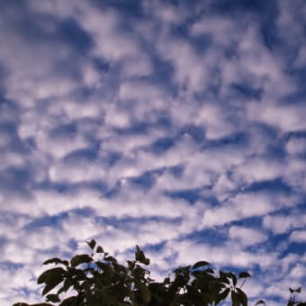 雲がほぐれる