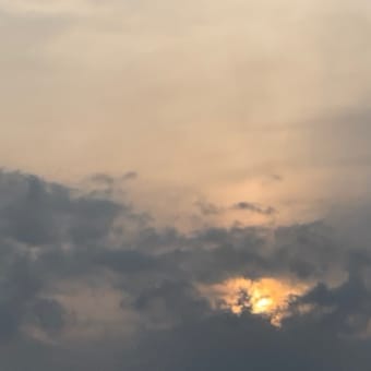 七月ですもの