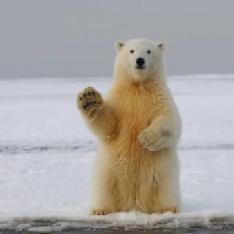 ランチタイムはウツにはじまる
