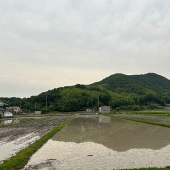 今朝のこと
