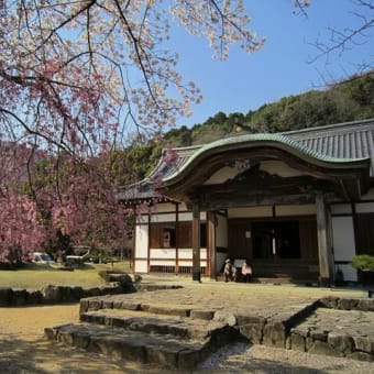 龍野公園と龍野城の桜を楽しむ