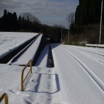 目覚めてみれば晴れだった