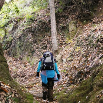 摩耶山　其の一