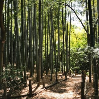 武者小路実篤公園　仙川の家