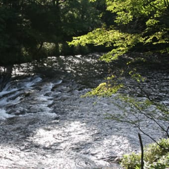 竜頭の滝の上流　日光