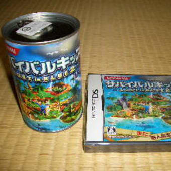 通販で頼んだサバイバルキッズ Lost In Blue 2 Pionline
