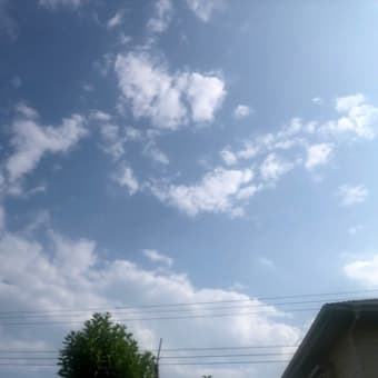 とらぷぅ💥情報＋天気6/27 ぷぅぼっち❓🤭